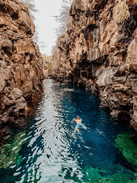 Traveler swimming in a volcanic canyon in Galápagos